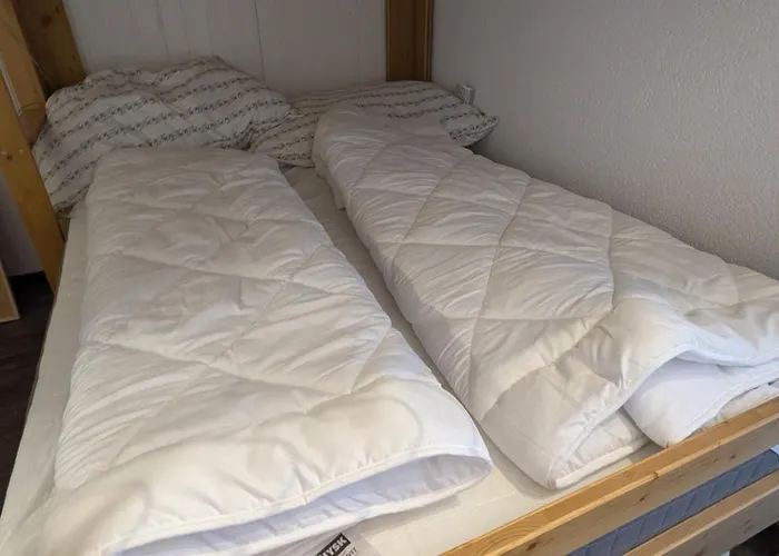 Ski-in, Ski-out Thyon * Vex